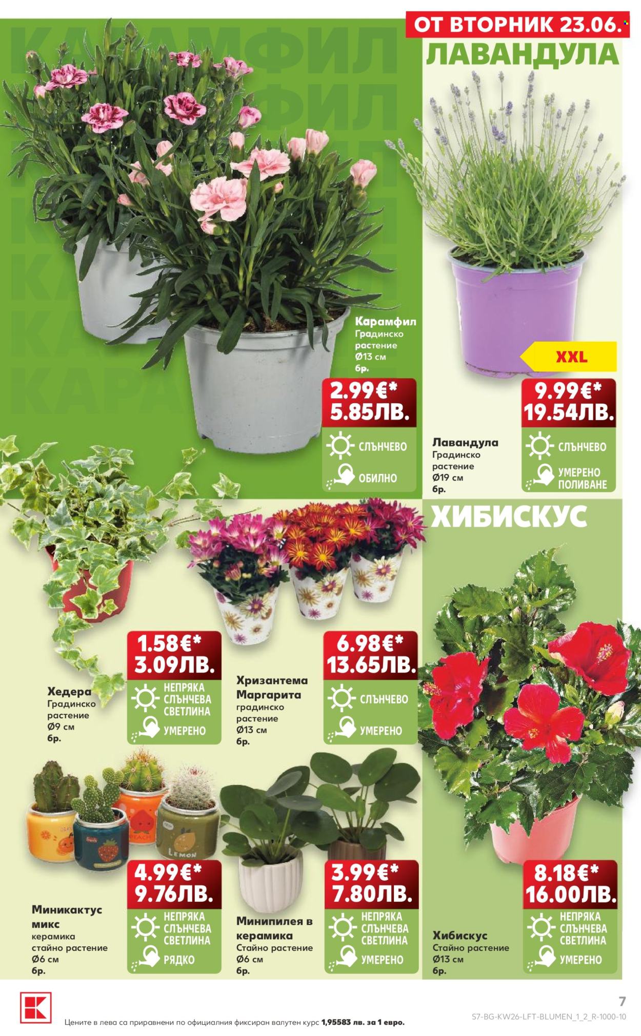 Брошура на Кауфланд - 22.06.2026 - 28.06.2026. Страница 7