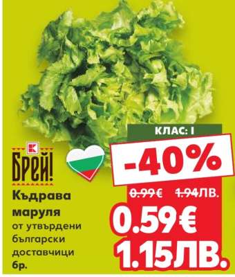 Къдрава маруля