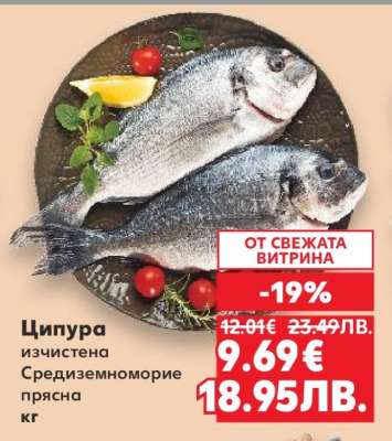 Ципура
