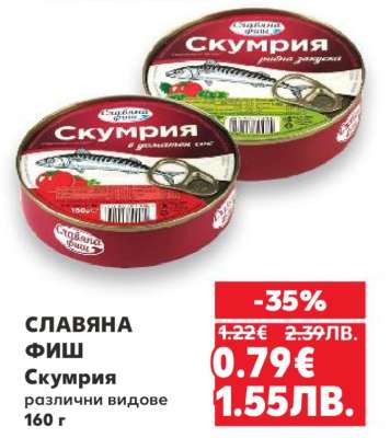 СЛАВЯНА ФИШ