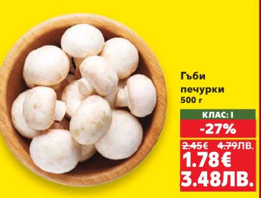 Гъби печурки