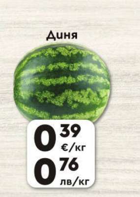 Диня