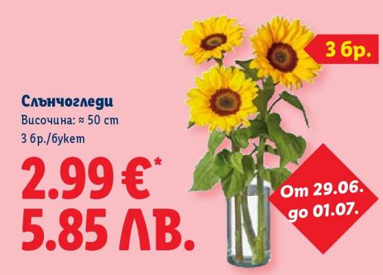 Слънчогледи