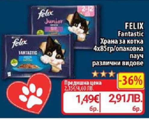 FELIX Fantastic