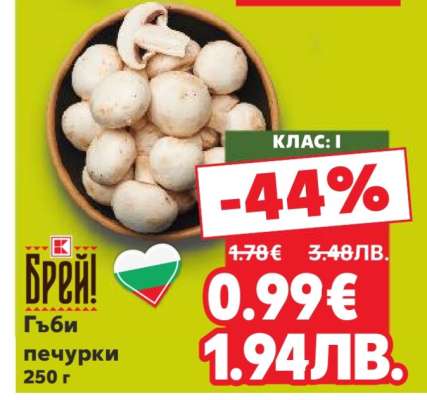 Гъби печурки