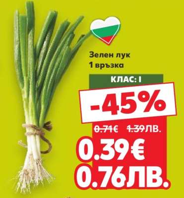 Зелен лук