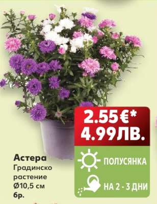 ASTERA