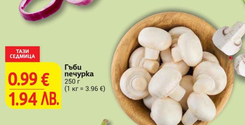 Гъби печурка