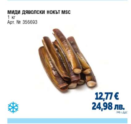 Миди дяволски нокът MSC
