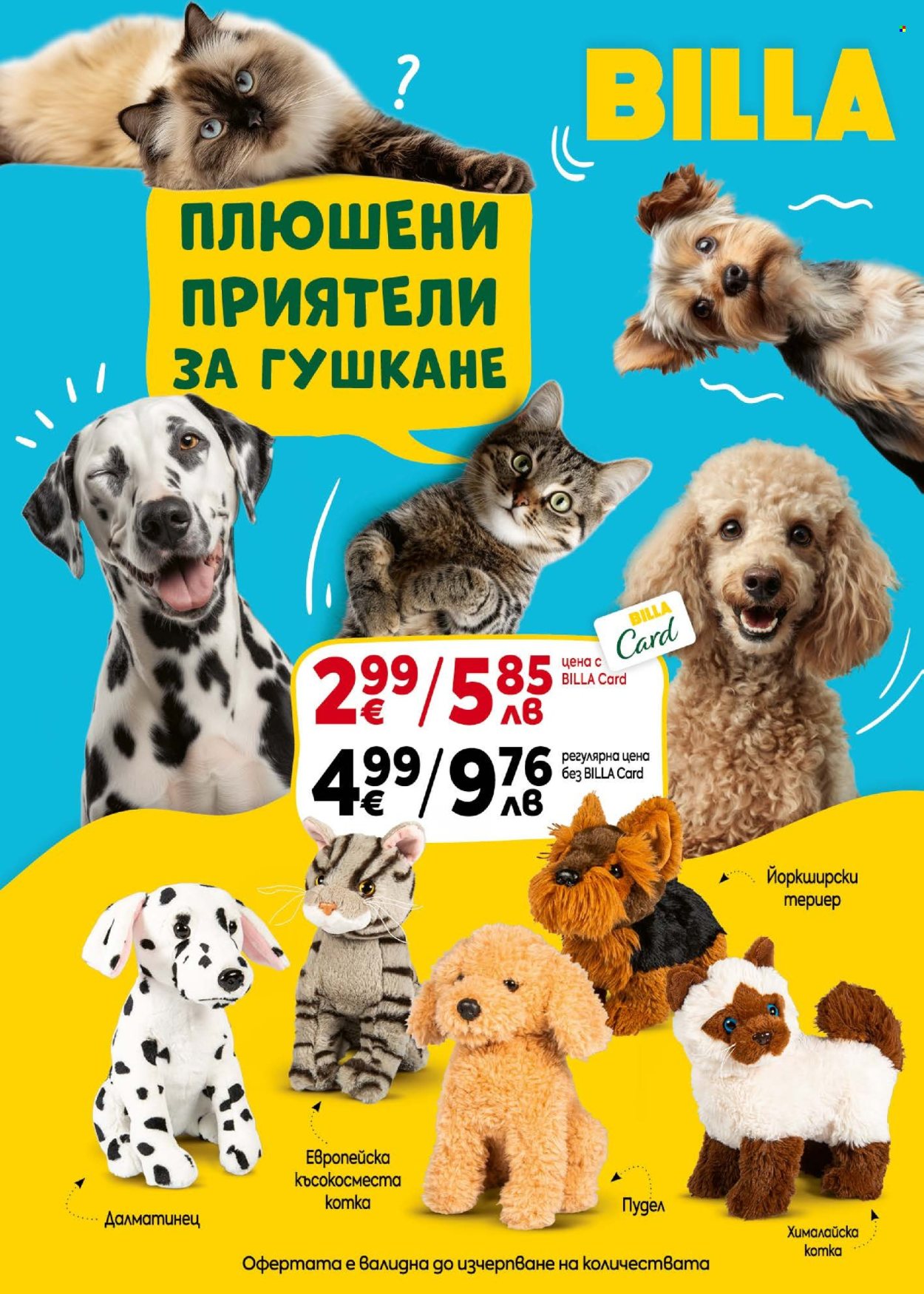 Брошура на BILLA - 02.07.2026 - 08.07.2026. Страница 13