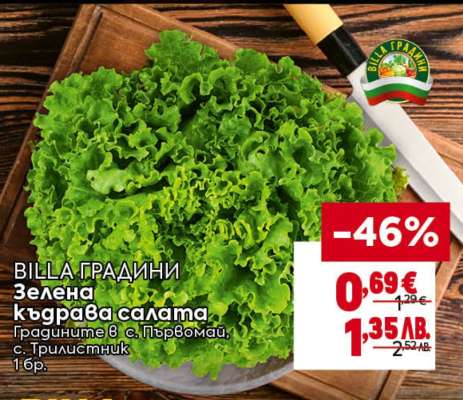 Зелена къдрава салата