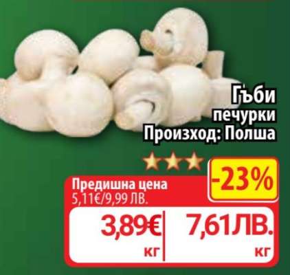 Гъби печурки