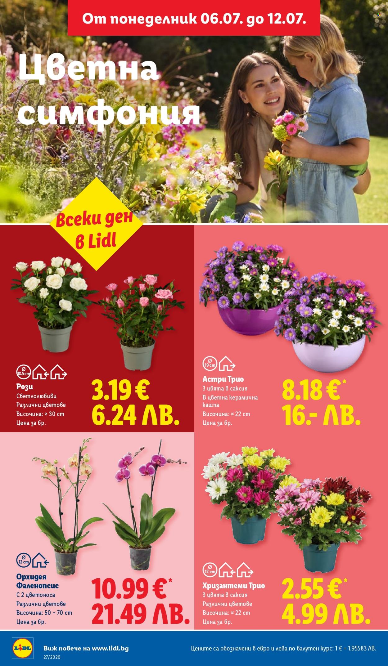 Брошура на Лидл - 06.07.2026 - 12.07.2026. Страница 48