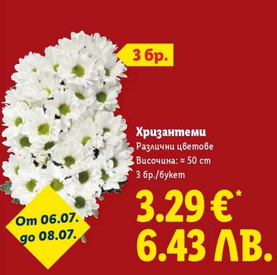 Хризантеми