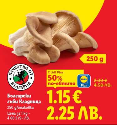 Български гъби кладница