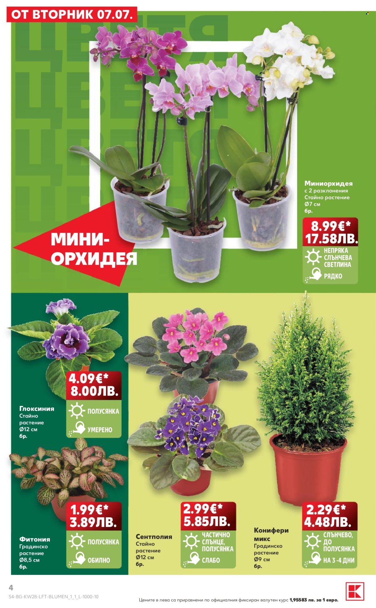 Брошура на Кауфланд - 06.07.2026 - 12.07.2026. Страница 4