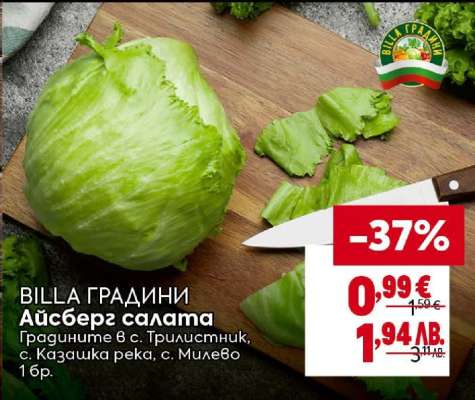 BILLA ГРАДИНИ Айсберг салата