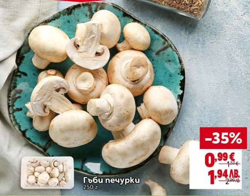 Гъби печурки