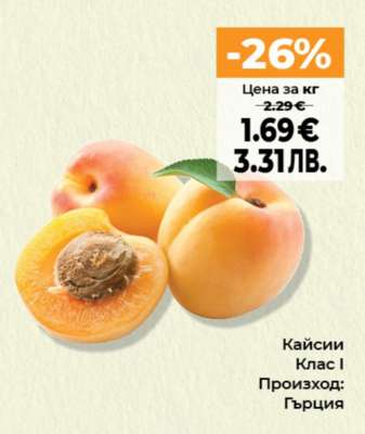 Кайсии