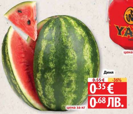 Диня