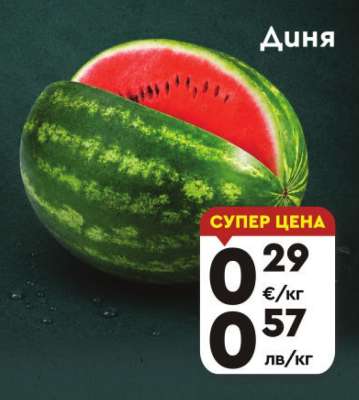 Диня