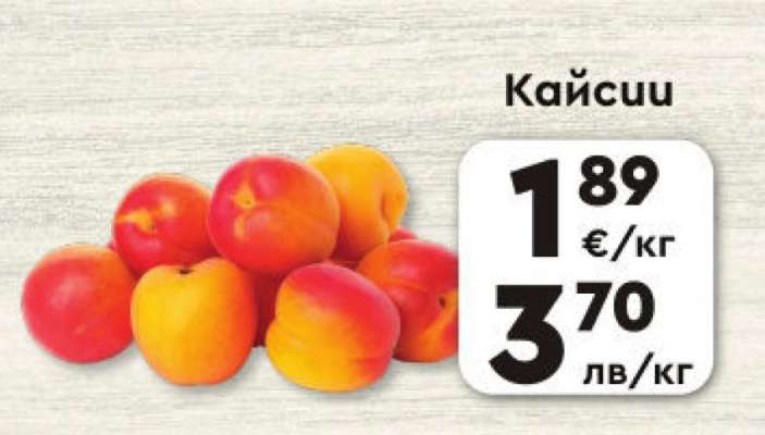 Кайсии