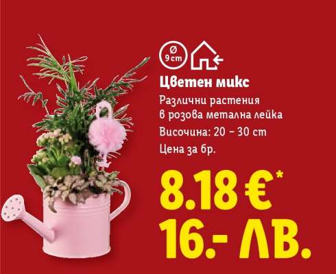 Цветен микс