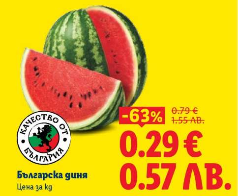 Българска диня