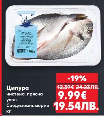 Ципура