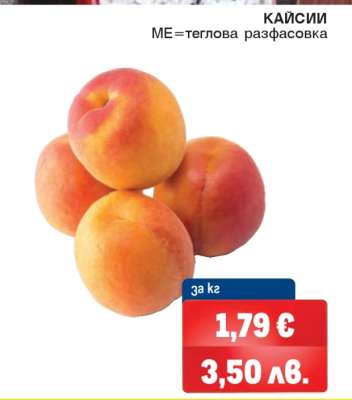 Кайсии
