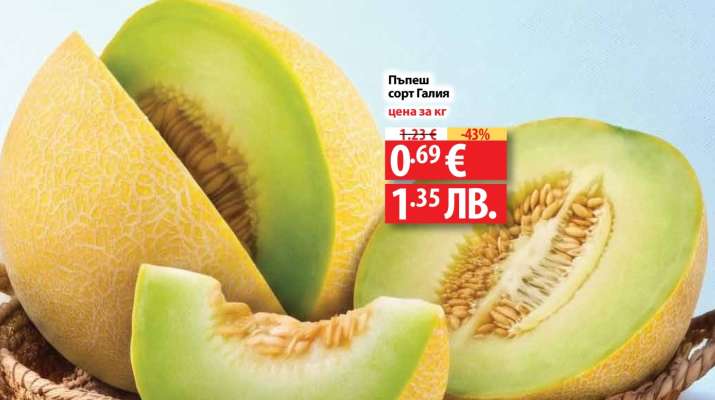 Пъпеш сорт Галия
