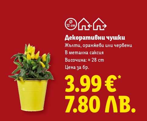 Декоративни чушки