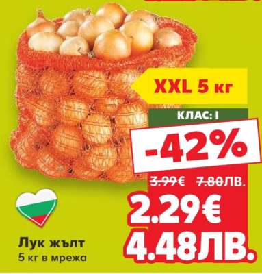 Лук жълт