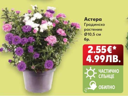 ASTERA