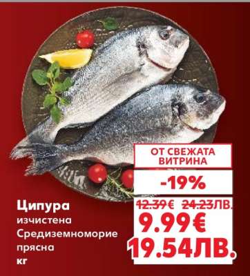 Ципура