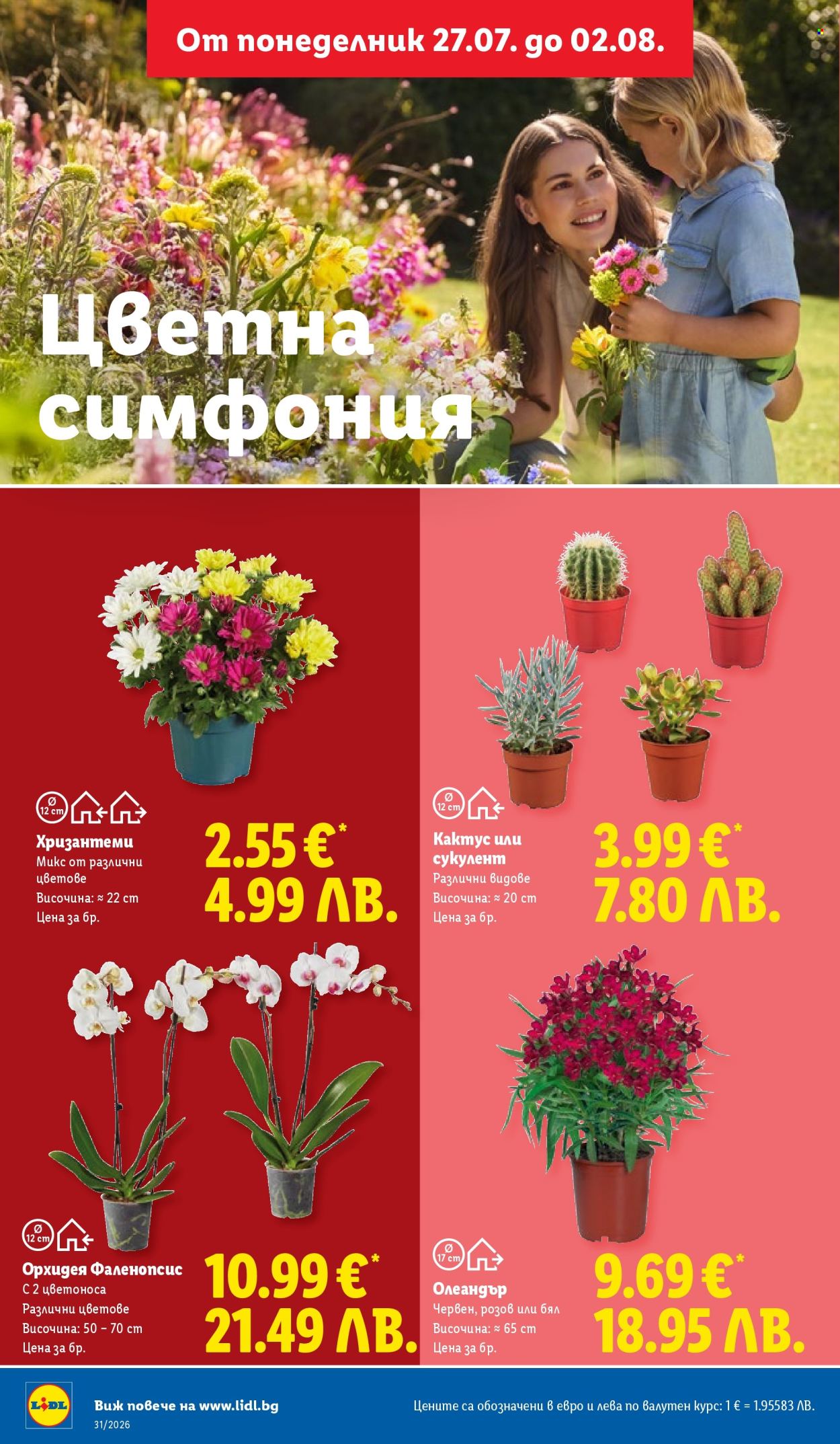 Брошура на Лидл - 27.07.2026 - 02.08.2026. Страница 46