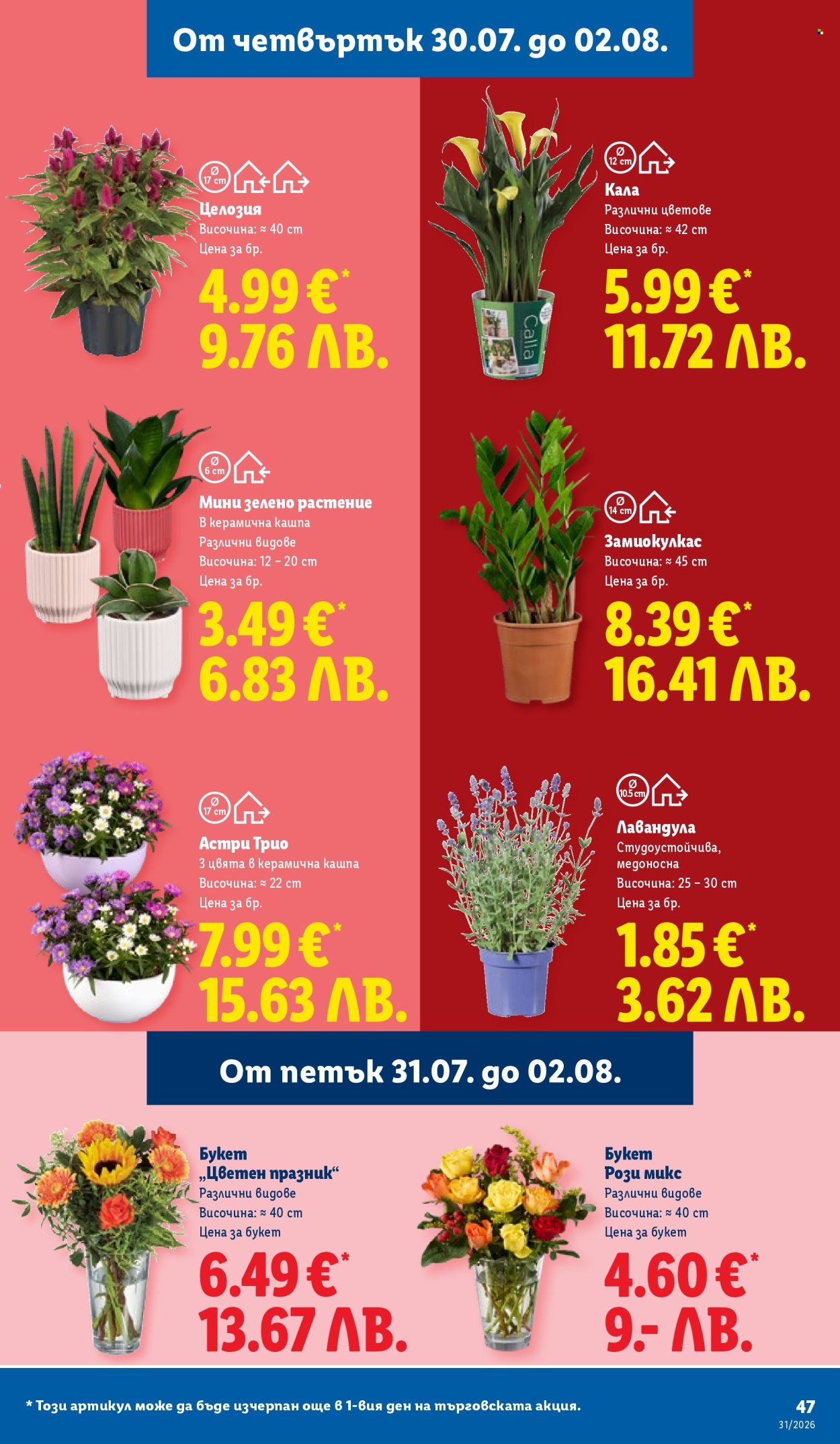 Брошура на Лидл - 27.07.2026 - 02.08.2026. Страница 47