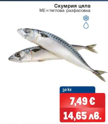 Скумрия цяла