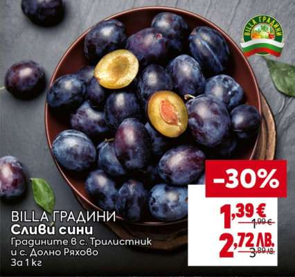 Сливи сини