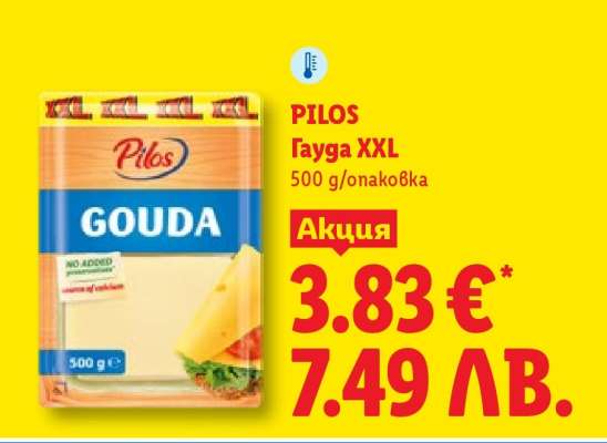 PILOS Гауда XXL