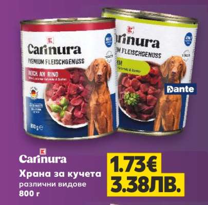 Carinura