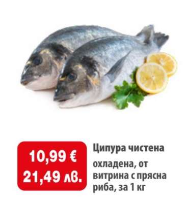 Ципура чистена охладена