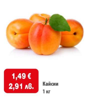Кайсии