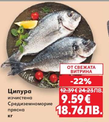 Ципура