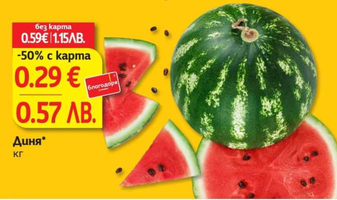 Диня