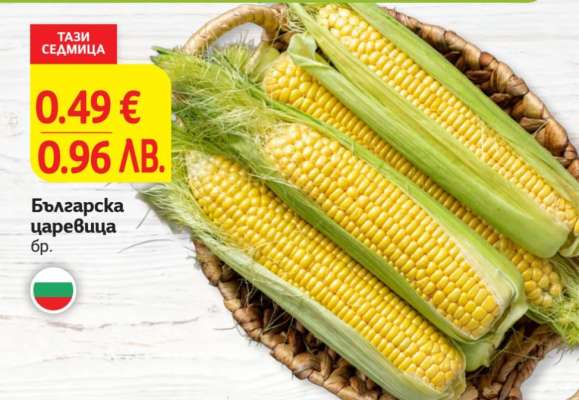 Българска царевица