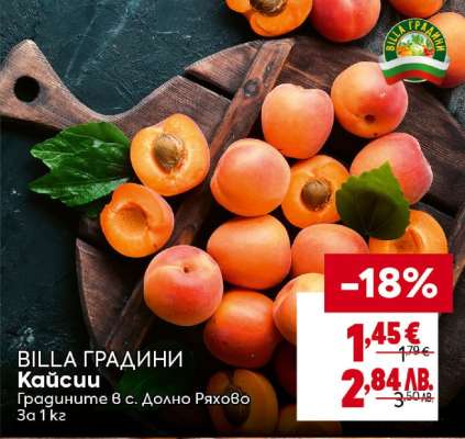 Кайсии