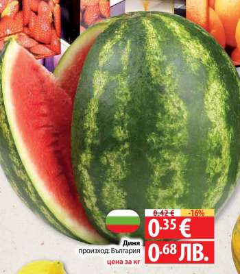 Диня