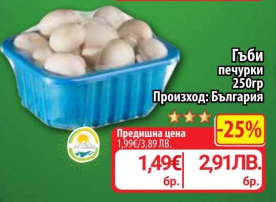 Гъби печурки