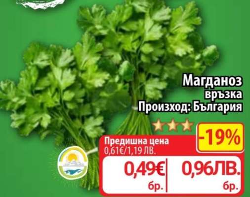 Магданоз връзка